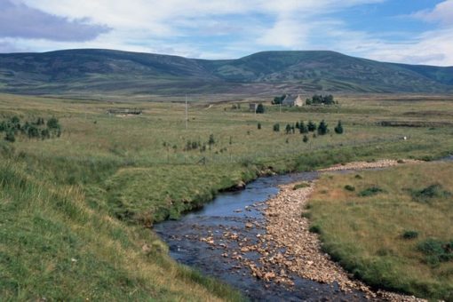 whisky_glen_szkocka_krata