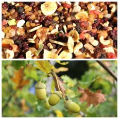 whisky_zapach_smak_szkocka_krata