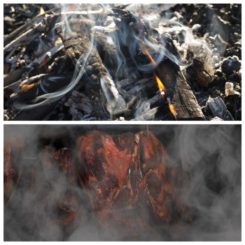 whisky_zapach_smak_szkocka_krata