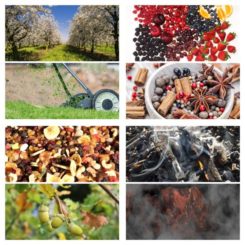 whisky_zapach_smak_szkocka_krata