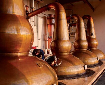 Glendronach - alfabet whisky